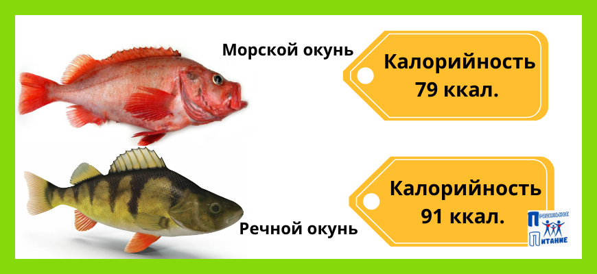 Какую рыбу есть на диете – нежирные сорта рыбы и как её готовить